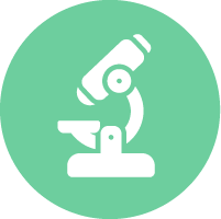 蛍光Ｘ線分析/マイクロスコープ